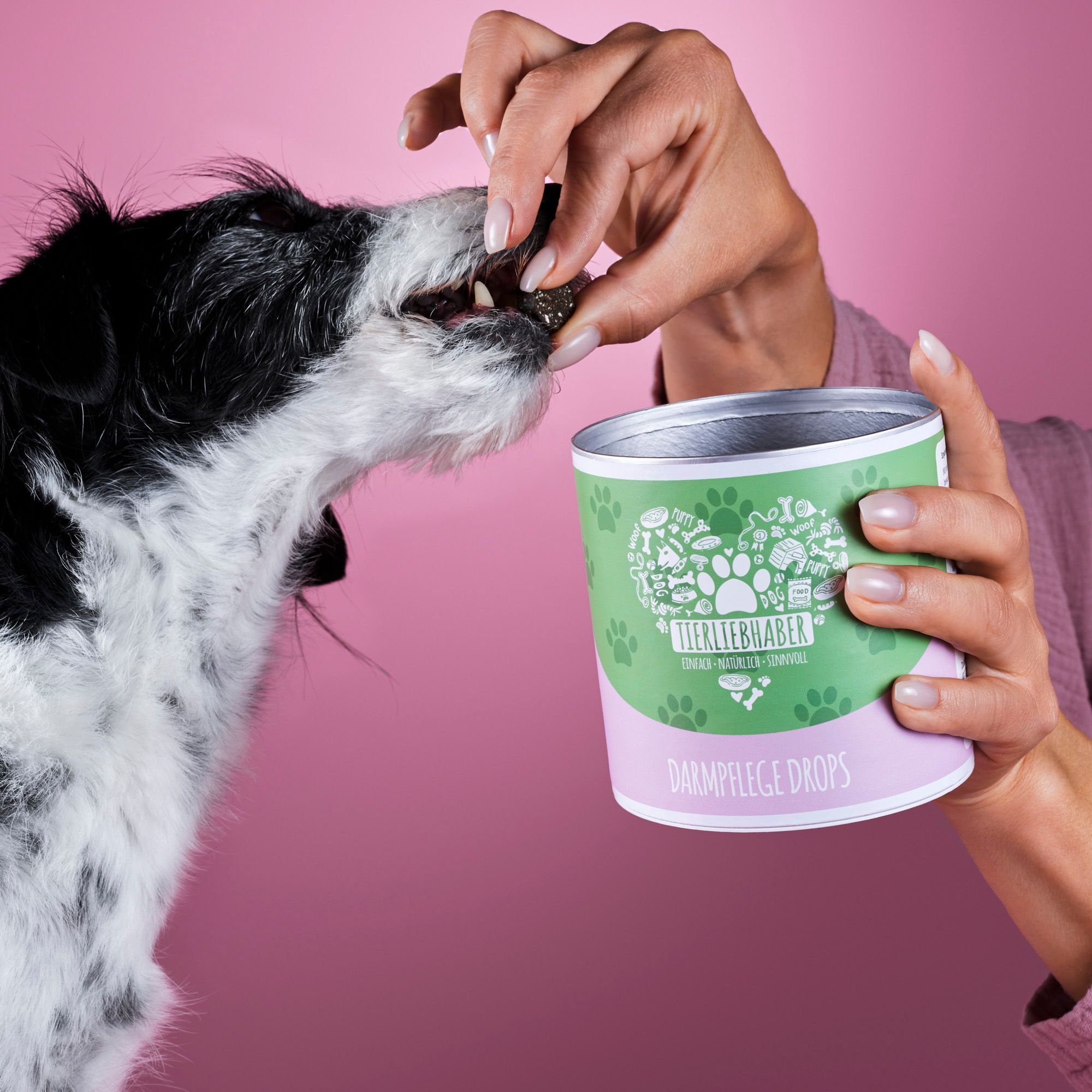 Hund frisst Drops aus Dose. Dose mit Aufschrift: Tierliebhaber Darmpflege Drops. Person reicht Drops.