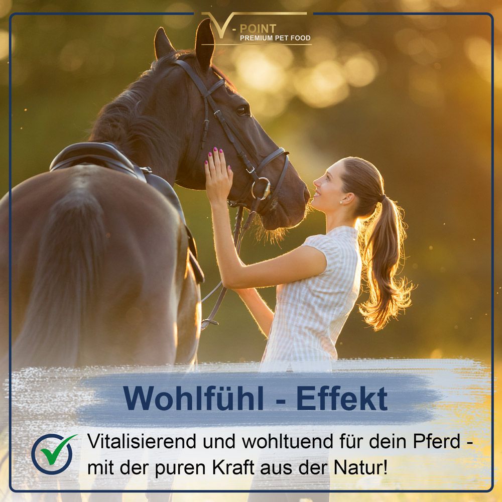 Frau und Pferd im Sonnenlicht. Text: Wohlfühl-Effekt, vitalisierend und wohltuend für dein Pferd, mit der puren Kraft aus der Natur!