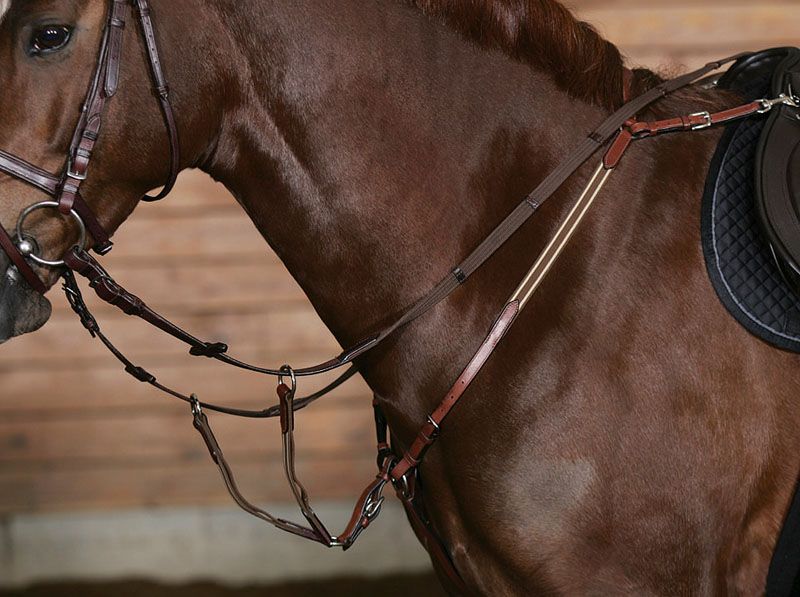 Brauner Sattelgurt mit Springstollenschutz am Pferd. Leder, goldfarbene Akzente. Detailaufnahme.