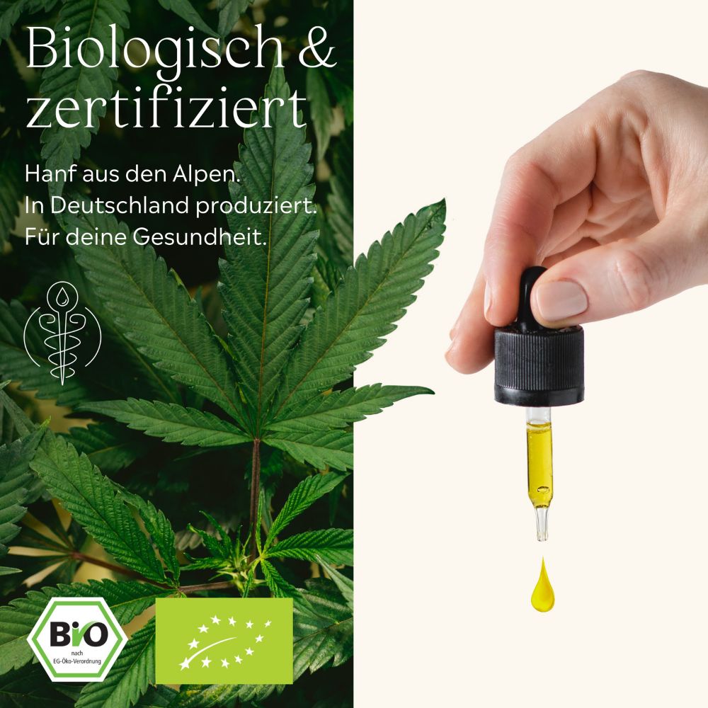 Hanfblatt und Flasche mit Tropfer. Tropfen Öl. Bio-Siegel. Aufschrift: can tura organics.