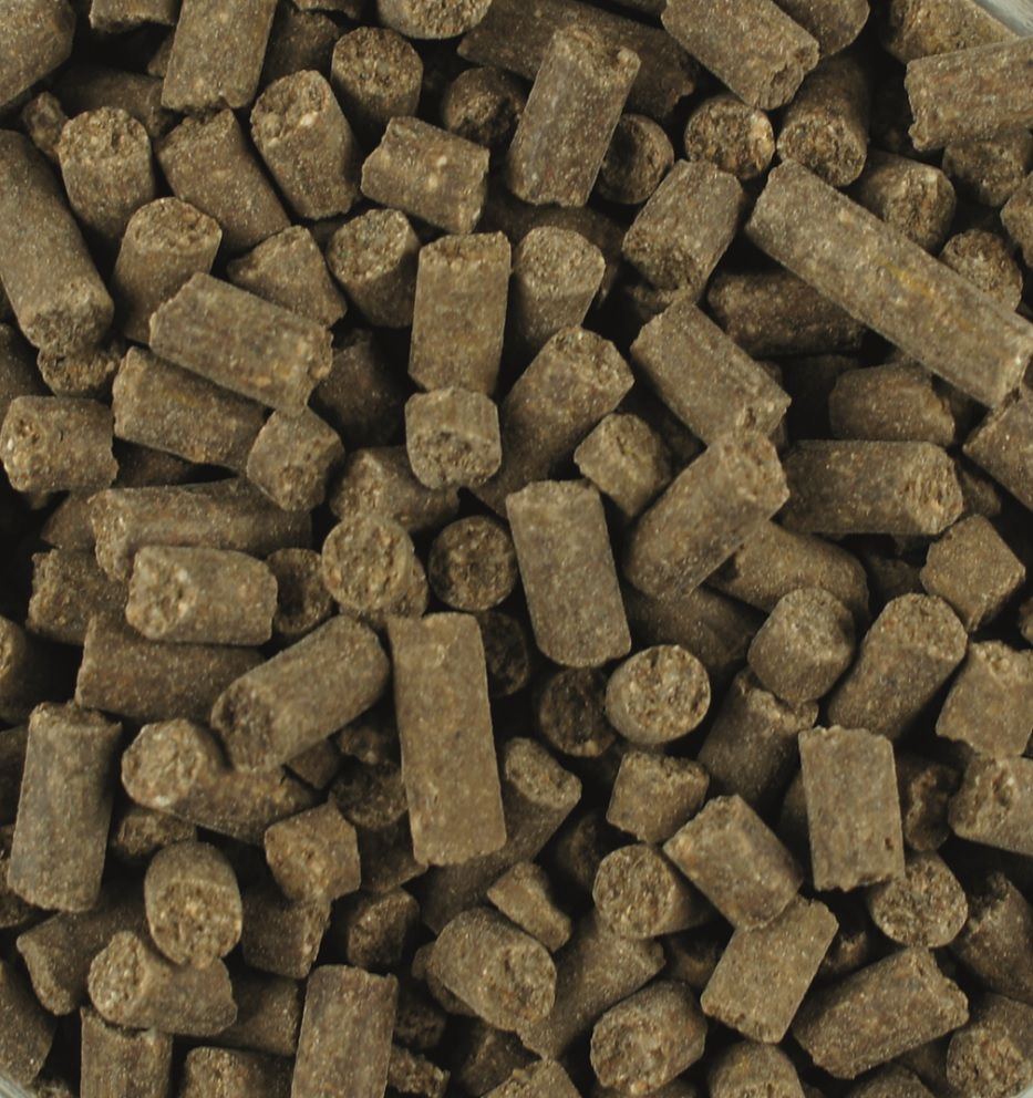 Braune, zylindrische Pellets. Nahaufnahme, viele Pellets liegen lose. Die Oberfläche ist rau und unregelmäßig.