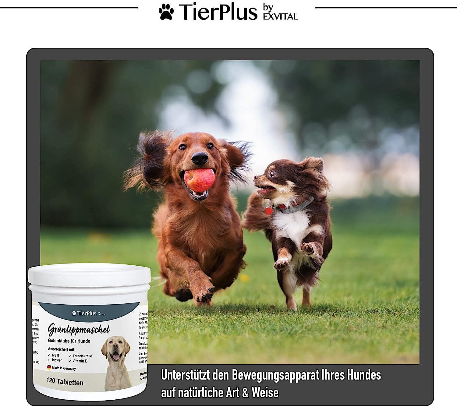 EXVital® Grünlippmuschel Plus - Gelenktabletten für Hunde