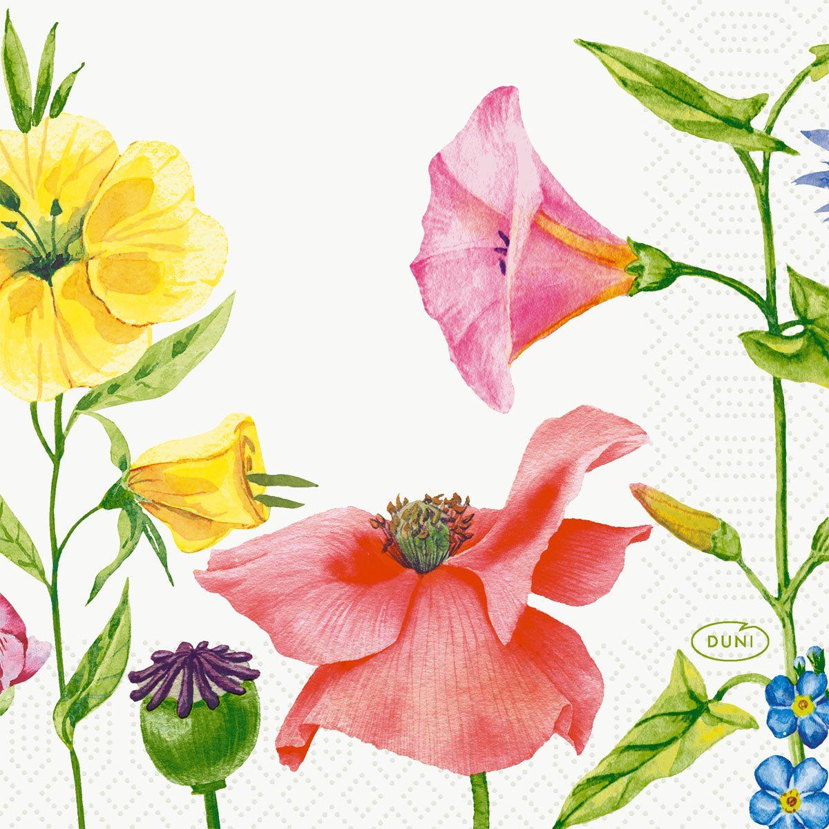 20x Serv.24x24 3lg 1/4 Flowy Meadow 50P.