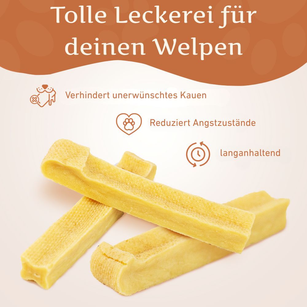 Ein Welpe kaut auf einem Yak-Käse-Kausnack. Der Hund hat das Maul geöffnet.
