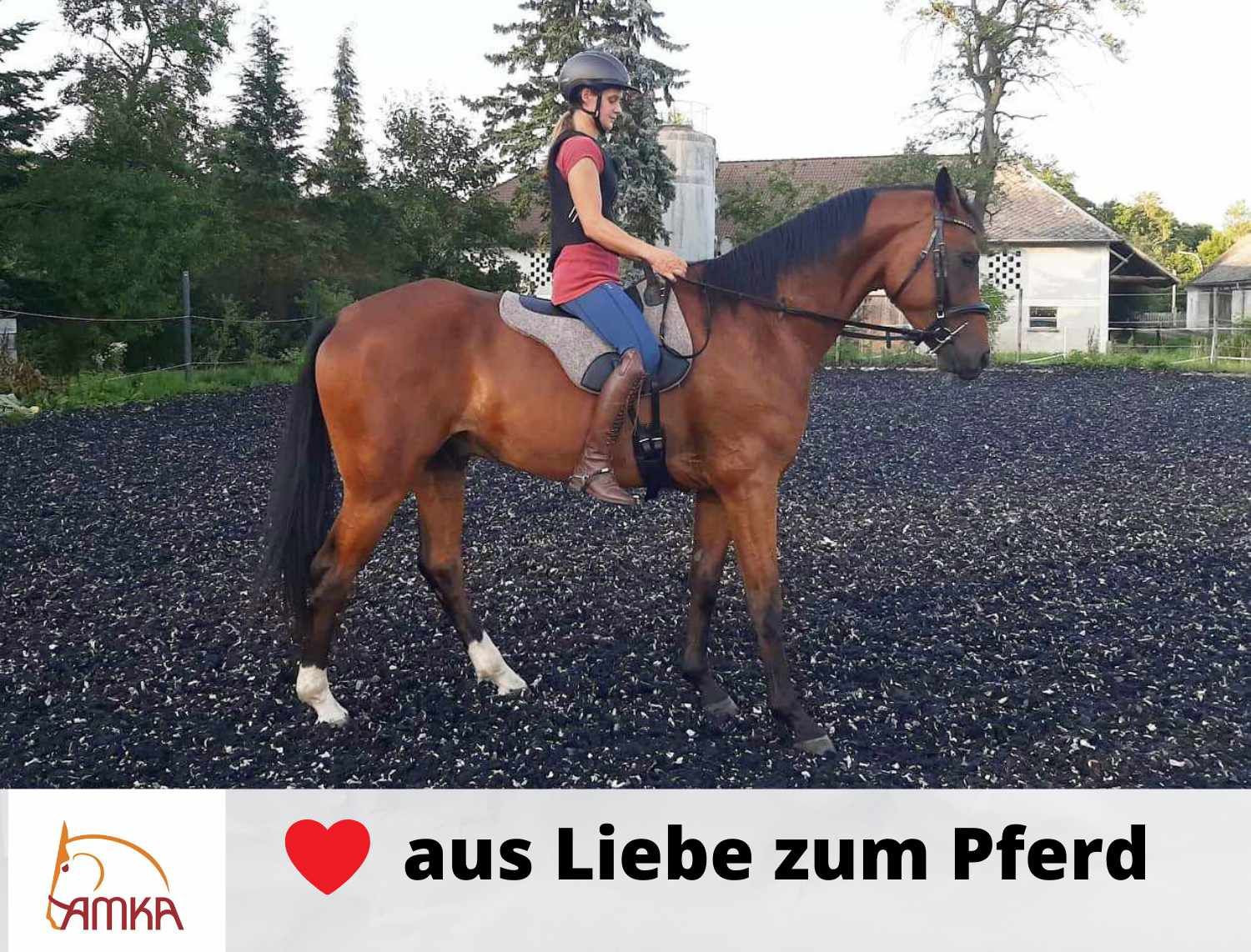 Reiterin auf braunem Pferd mit Sattel. Text: aus Liebe zum Pferd. AMKA Logo.