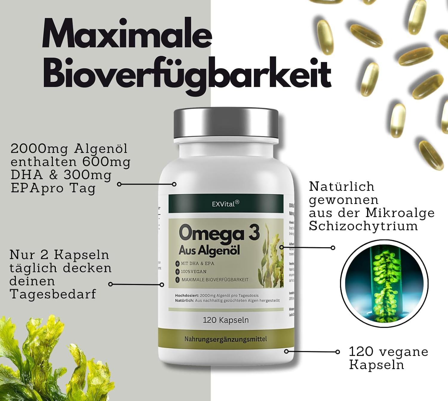 Weiße Flasche EXVital Omega 3, 120 Kapseln. Enthält 2000mg Algenöl, 600mg DHA & 300mg EPA pro Tag. 120 vegane Kapseln.