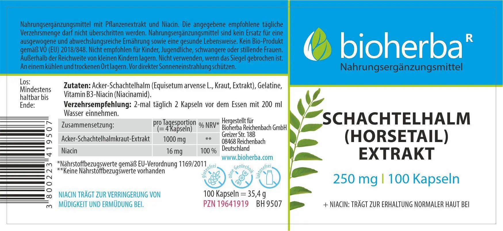 Etikett mit Produktinformationen. Text: Bioherba, Schachtelhalm Extrakt, 250 mg, 100 Kapseln. Zutaten, Verzehrempfehlung, Nährwertangaben.