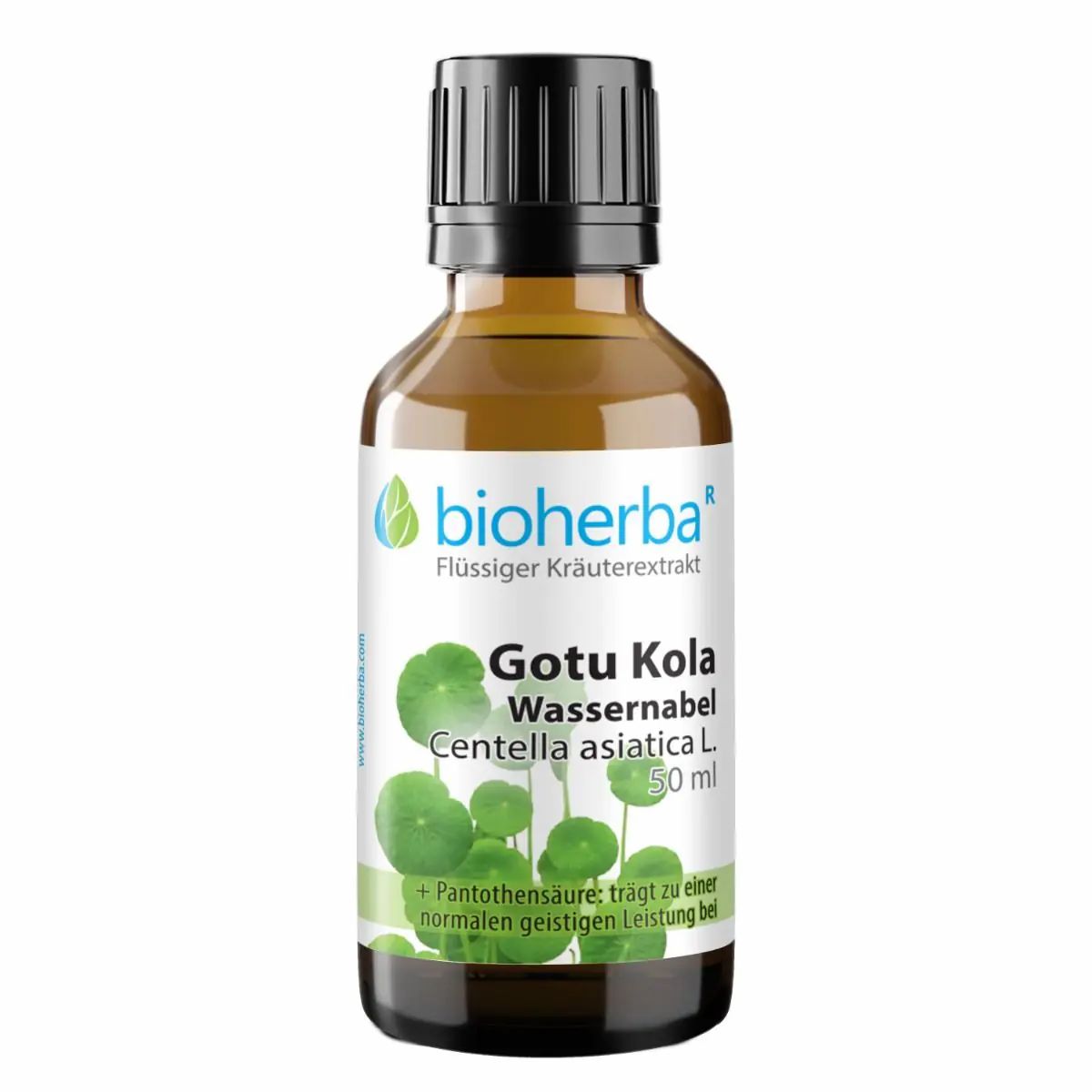 Braune Glasflasche mit schwarzem Deckel. Etikett mit "bioherba" und "Gotu Kola Wassernabel". 50 ml.