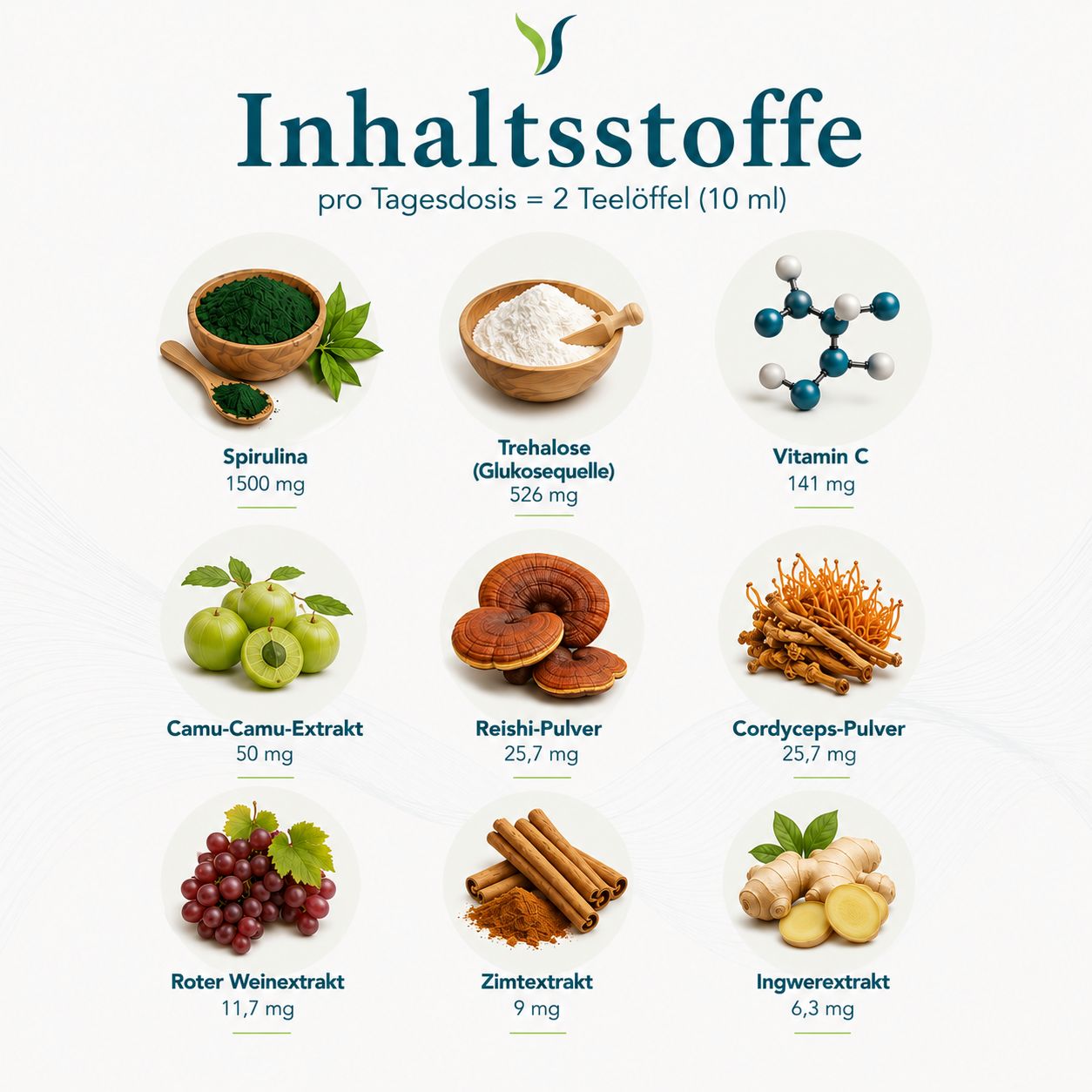 Illustrationen von Spirulina, Trehalose, Vitamin C, Camu-Camu, Reishi, Cordyceps, Trauben, Zimt und Ingwer.