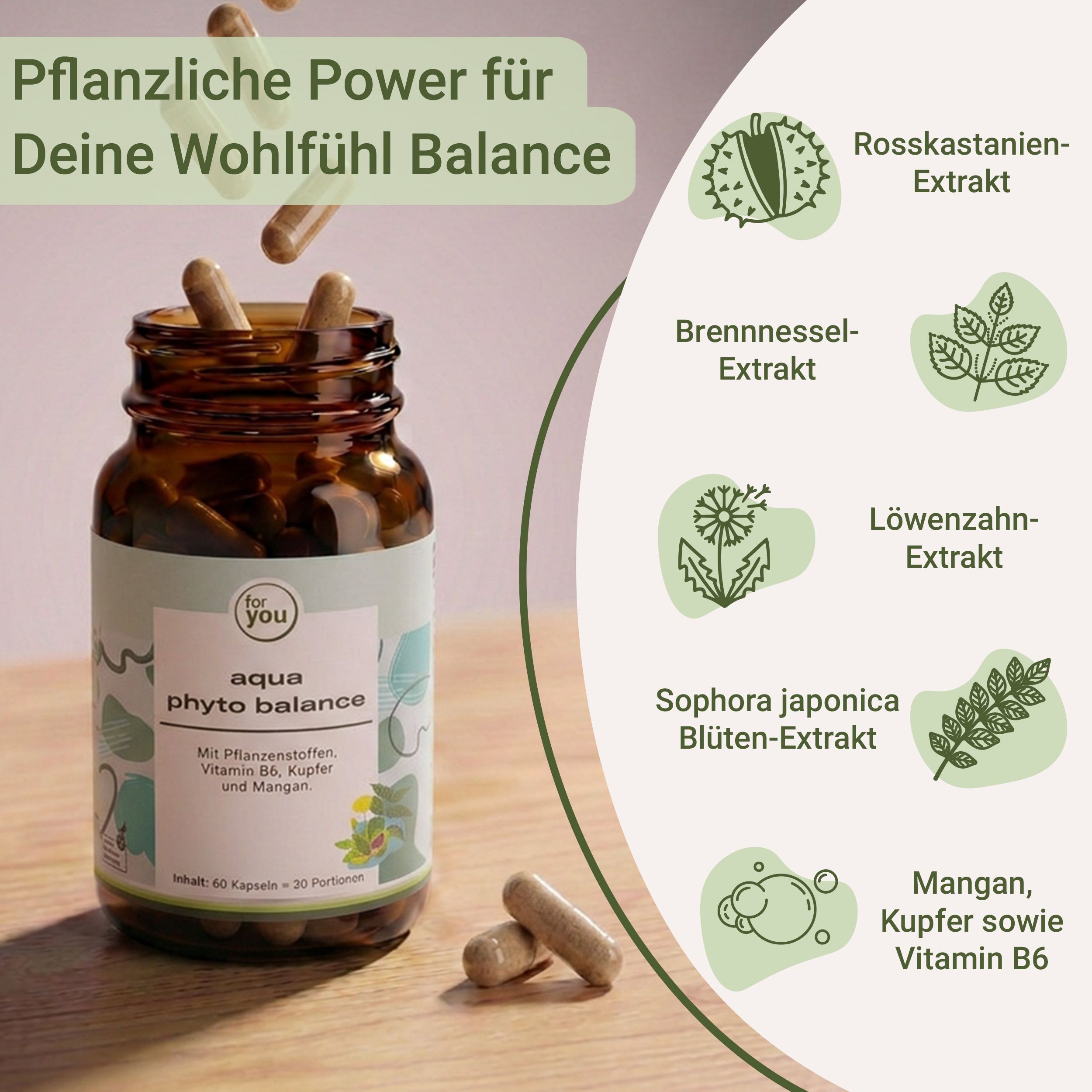 Aqua Phyto Balance Kapseln und Flasche mit Icons, die pflanzliche Extrakte zeigen.