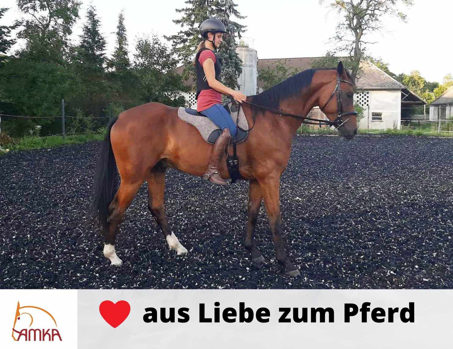 Person reitet auf einem Pferd mit einem AMKA Leder Bareback Pad. Text: aus Liebe zum Pferd.