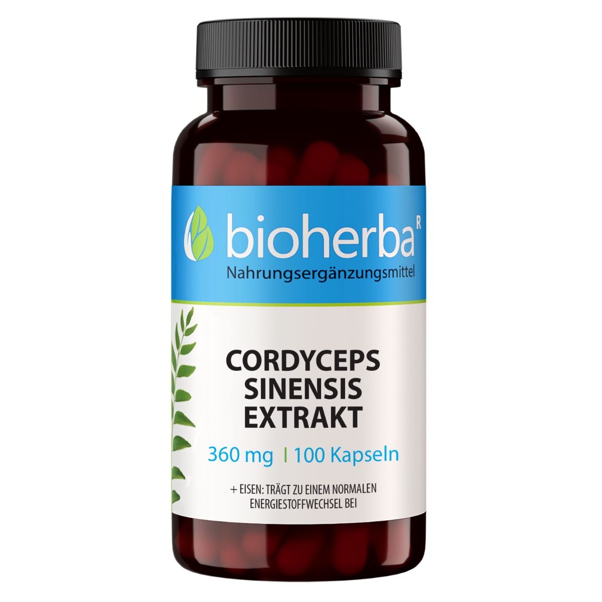Braune Flasche mit Kapseln. Bioherba Cordyceps Sinensis Extrakt. 360 mg | 100 Kapseln. Schwarzer Deckel. Weißes Etikett.