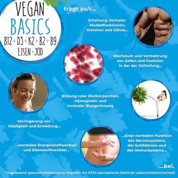 Infografik mit Vitaminen und Mineralstoffen für NatureCraft Vegan Basics.