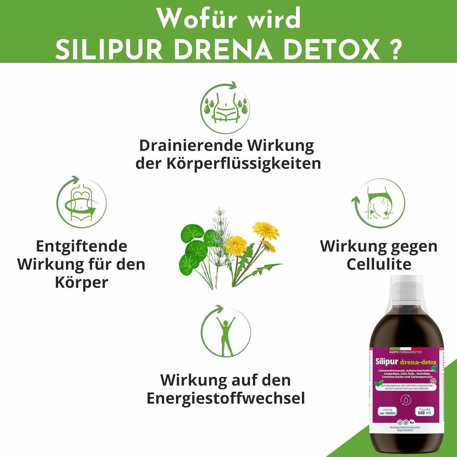 Grafik mit Produktflasche und Kreisen. Kreise zeigen: Drainierende Wirkung, entgiftende Wirkung, Wirkung gegen Cellulite, Energiestoffwechsel.