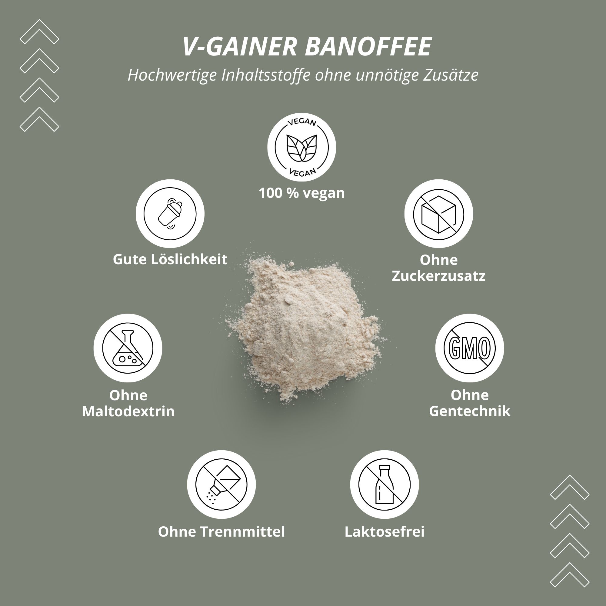 Kreisförmige Anordnung von Icons: 100% vegan, ohne Zuckerzusatz, ohne Gentechnik, ohne Trennmittel, laktosefrei, gute Löslichkeit, ohne Maltodextrin.