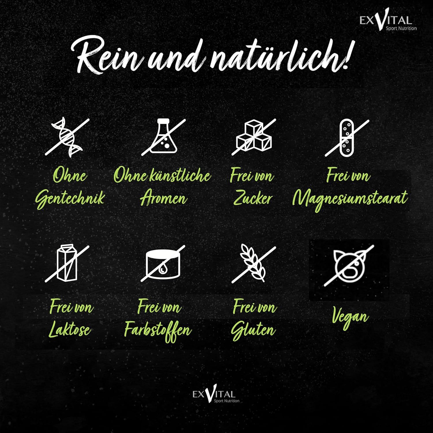 EXVital Ginkgo + Ginseng Flasche mit Tablettenregen. 365 Tabletten pro Dose. "Rein und natürlich!".