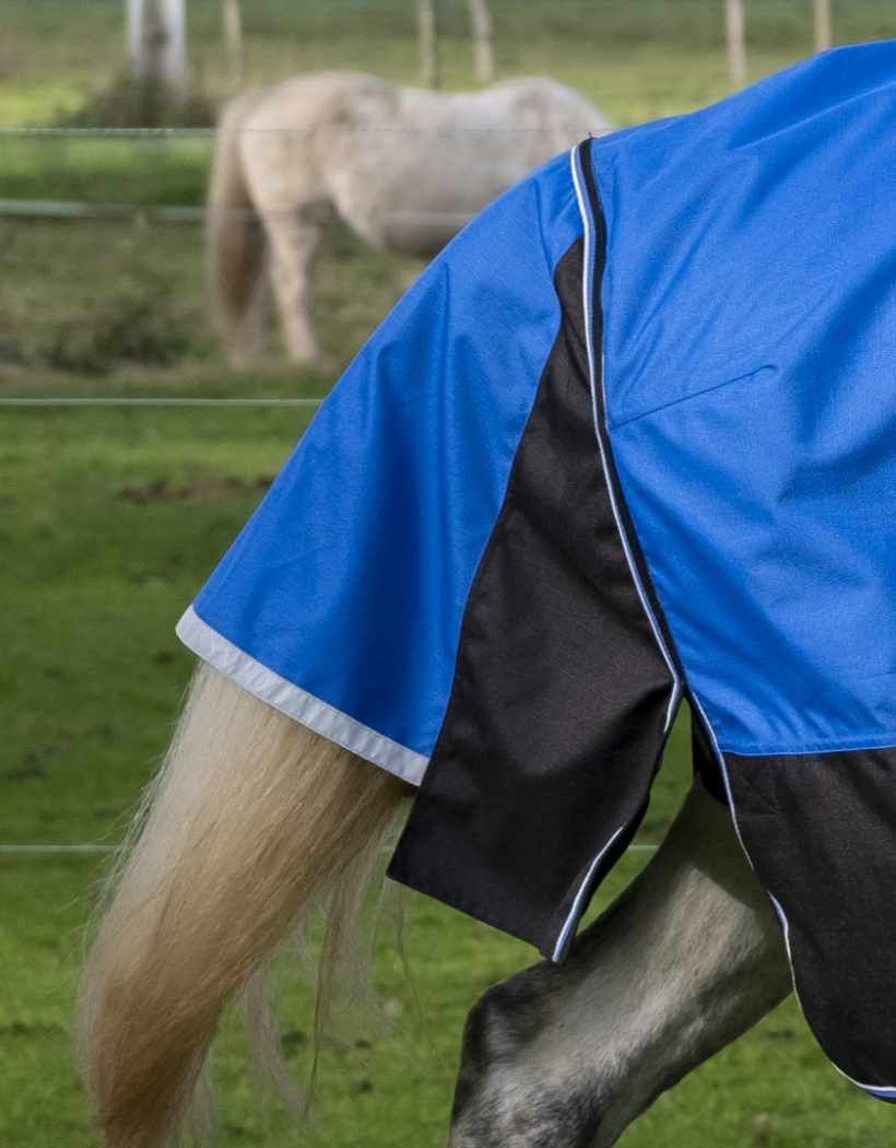 Blaue und schwarze Pferdedecke. Weißer Rand. Pferd mit Decke auf der Weide.