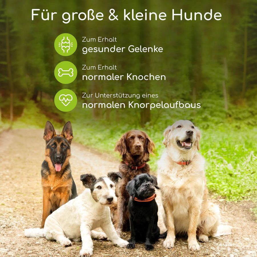 Wolfsbacher Natur Gelenktabletten