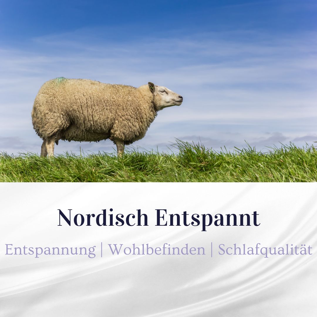 Schaf auf einer grünen Wiese unter blauem Himmel. Text: Nordisch Entspannt.