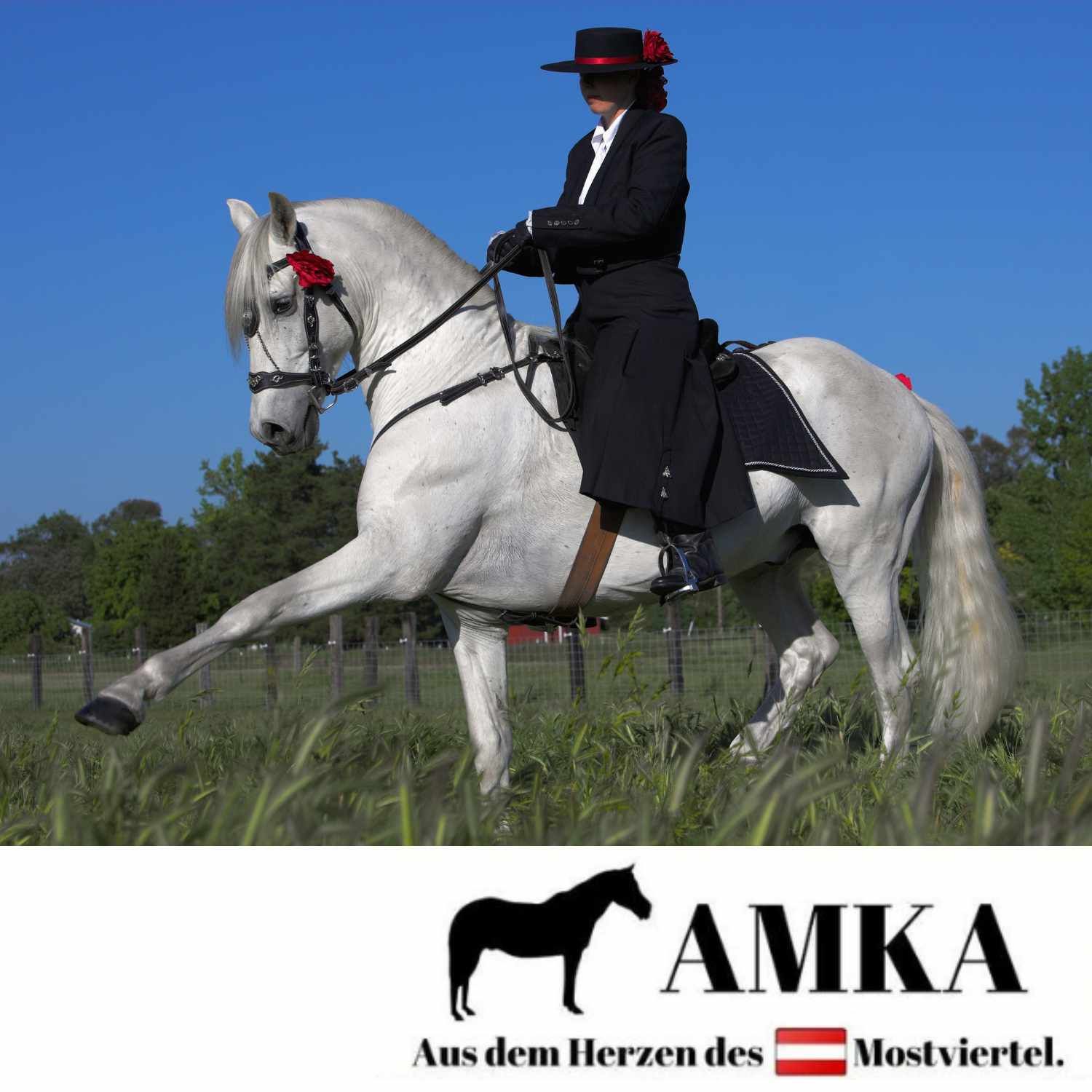 Weißes Pferd mit Reiterin. Schwarze Kleidung, roter Hut. Text: AMKA, Aus dem Herzen des Mostviertel.