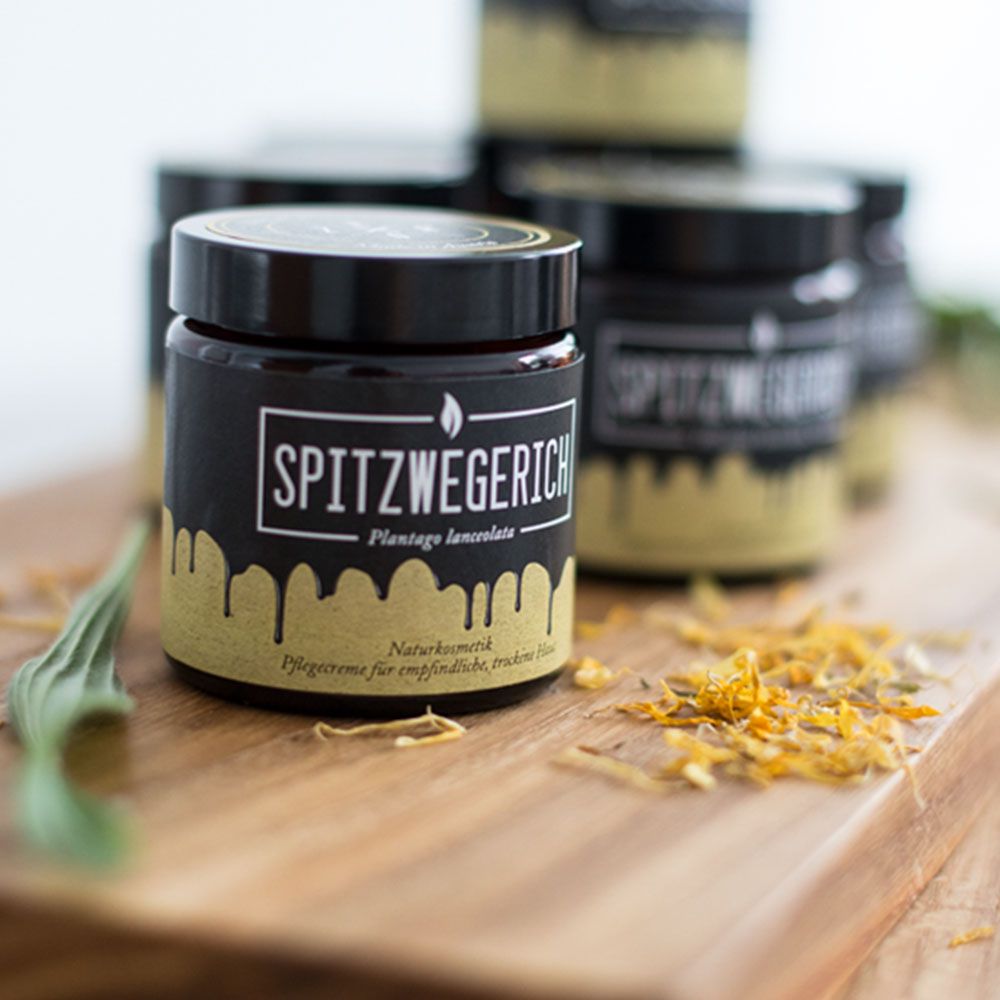 Mehrere Gläser auf Holzbrett. Aufschrift: Spitzwegerich, Plantago lanceolata. Daneben Kräuter und Blütenblätter.