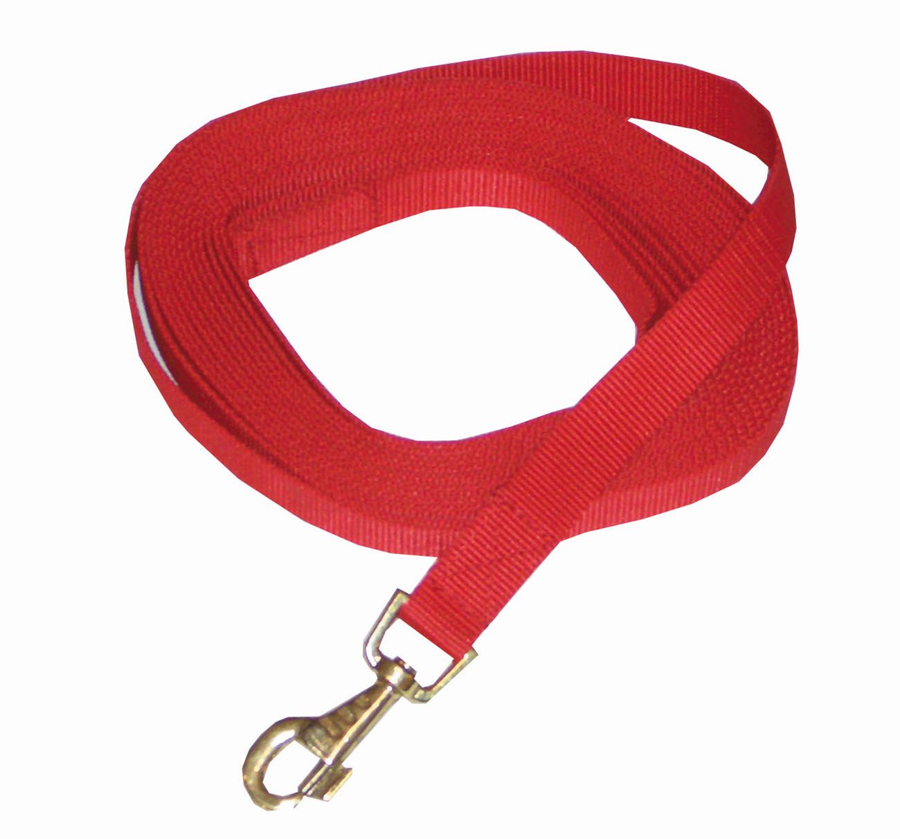 Rote Nylon-Longe mit Karabinerhaken. Gewebtes Material, aufgerollt.