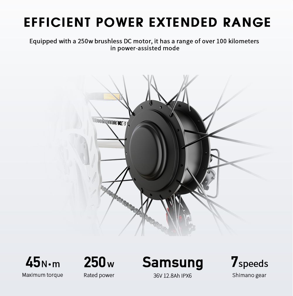 E-Bike-Motor mit 250W Leistung, 45 N.m Drehmoment, Samsung 36V 12.8Ah IPX6 Akku. 7-Gang Shimano-Getriebe.