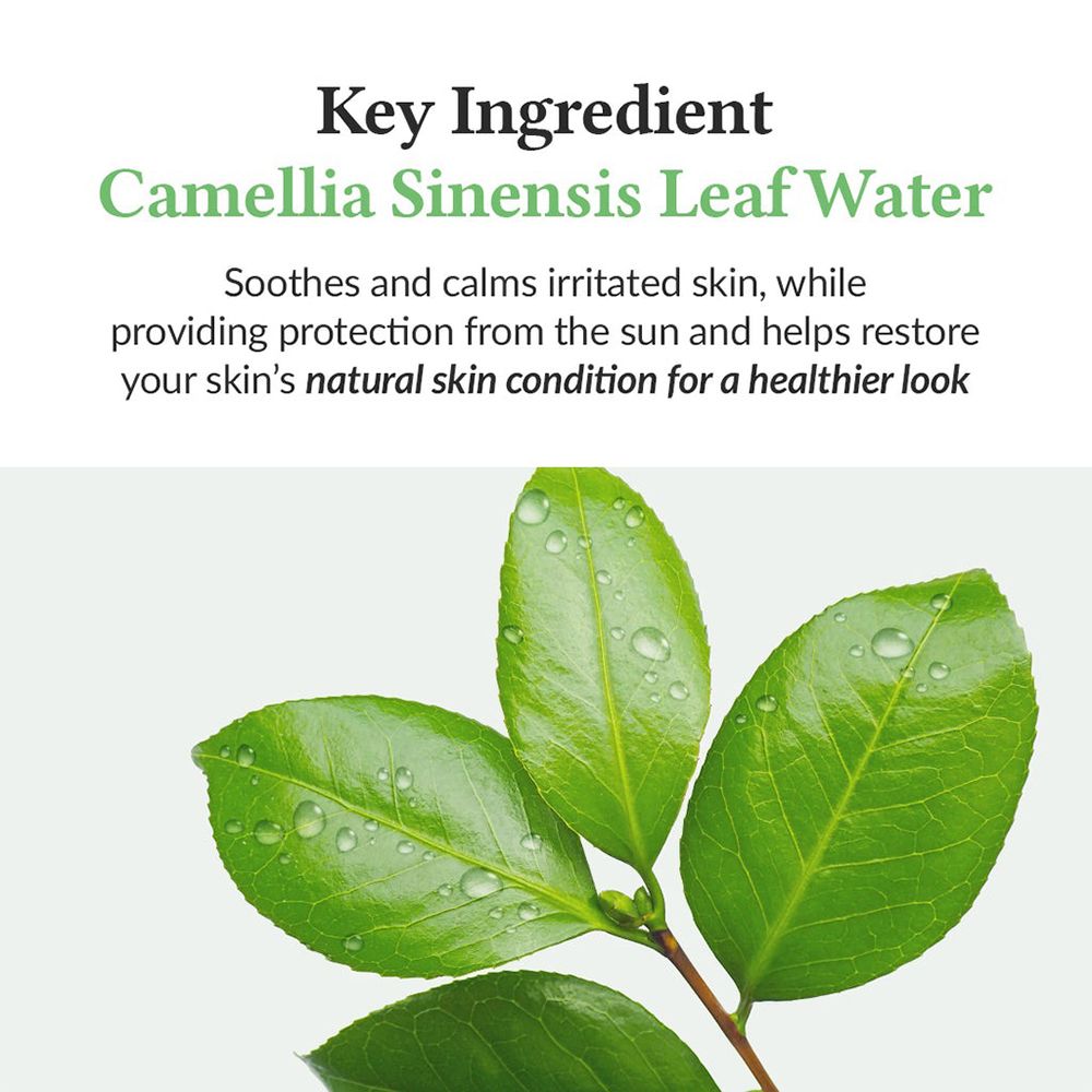 Grüne Blätter mit Wassertropfen, die den Hauptinhaltsstoff Camellia Sinensis Leaf Water des Sonnenschutzes symbolisieren.