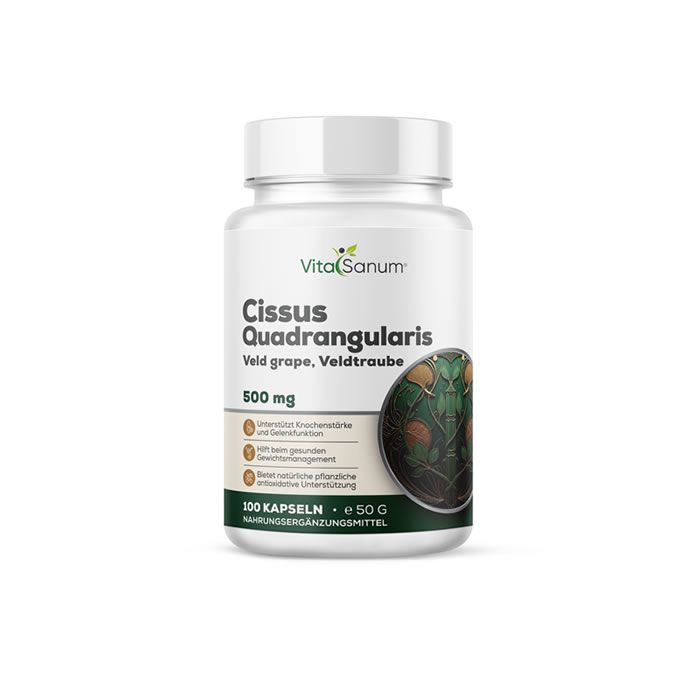 VitaSanum Cissus Quadrangularis Kapseln: Weißer Behälter mit Etikett, das Produktname, 500 mg und eine Abbildung von Veldtraube zeigt.