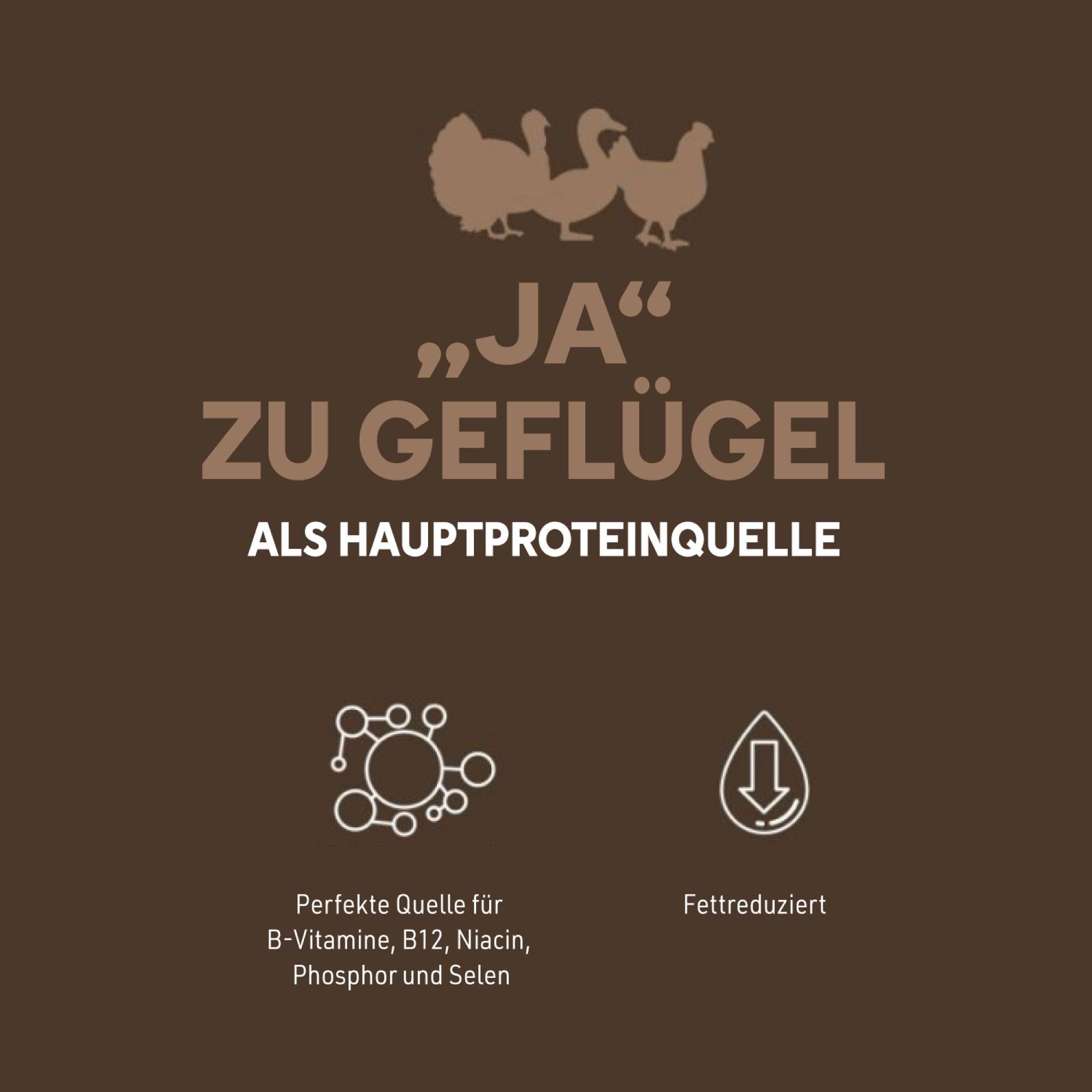 Braune Grafik mit Text und Symbolen. Text: Ja zu Geflügel als Hauptproteinquelle. Symbole: Vitamine, Fettreduziert.