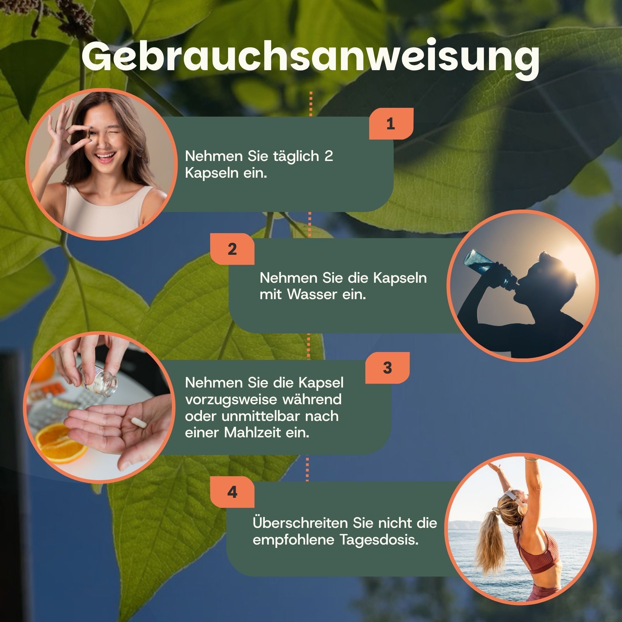 Anwendung: Täglich 2 Kapseln mit Wasser einnehmen, vorzugsweise zu oder nach einer Mahlzeit.