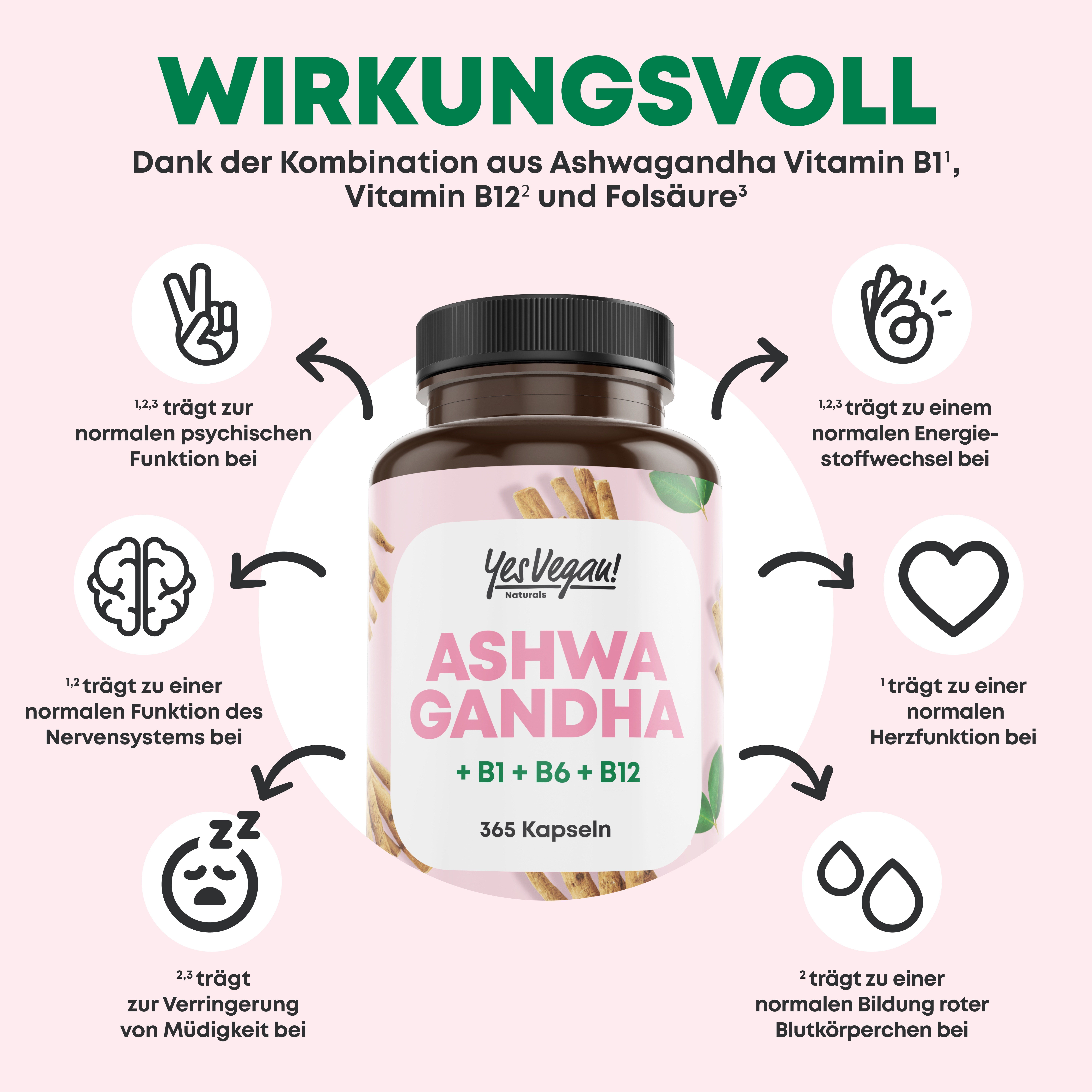 Wirkungsvoll: Ashwagandha, B1, B12, Folsäure unterstützen Nerven, Energie, Herz, Müdigkeit.
