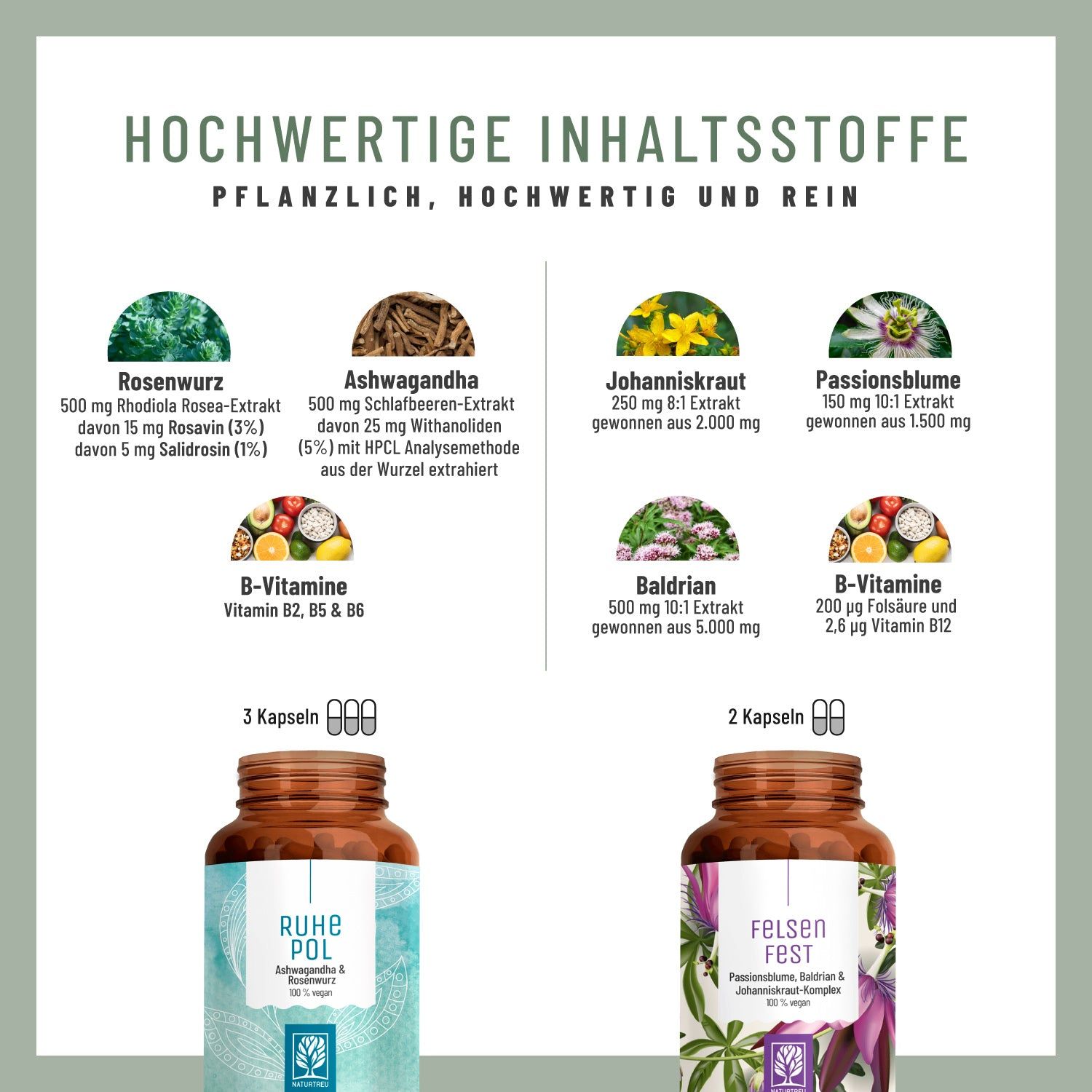 Infografik mit Inhaltsstoffen. Zwei Flaschen "RUHE POL" und "FELSEN FEST" neben Abbildungen von Inhaltsstoffen wie Rosenwurz und Baldrian.