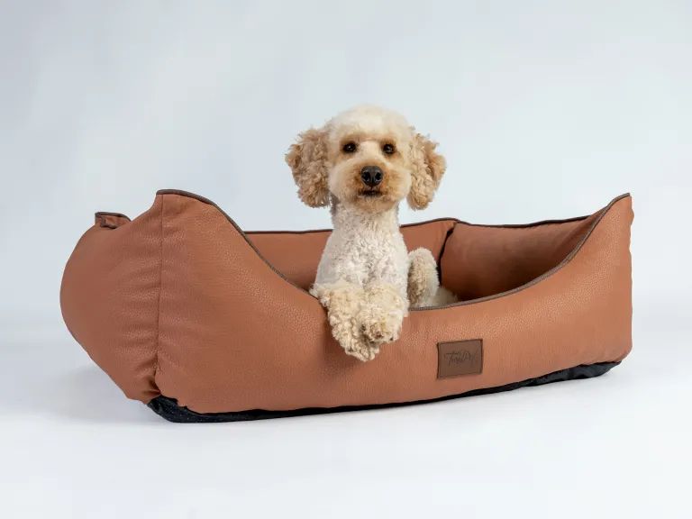 Braunes Kunstlederbett für Hunde. Ein kleiner Hund sitzt im Bett. Weißer Hintergrund.