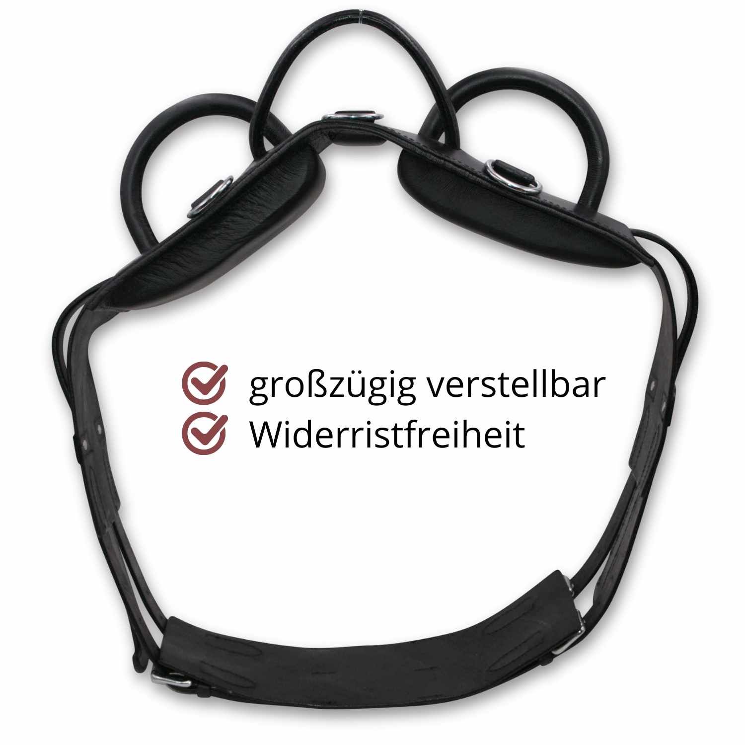 Schwarzer Voltigiergurt mit runden Griffen. Großzügig verstellbar und wideristfrei.