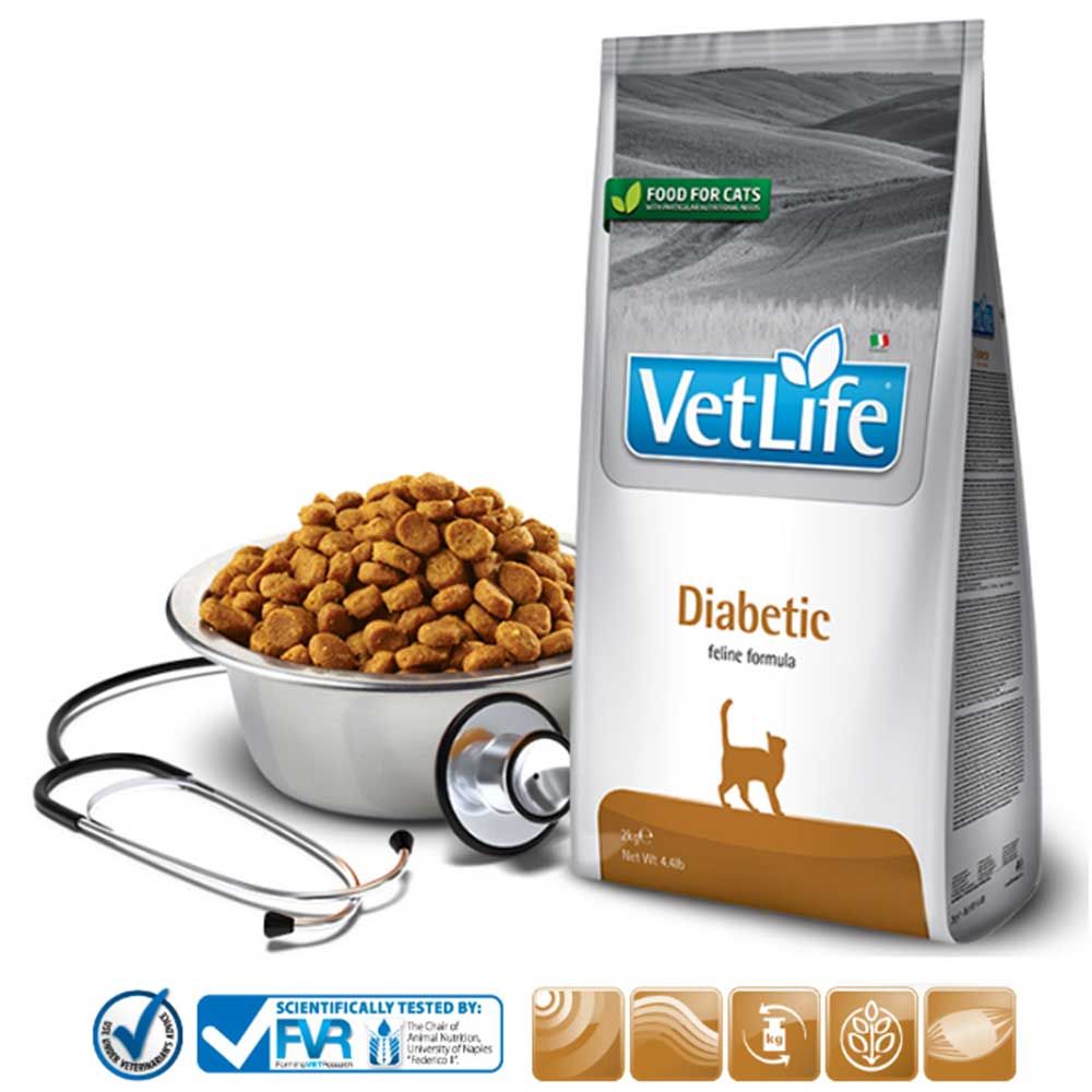 Trockenfutter-Beutel neben Futternapf mit Futter und Stethoskop. "VetLife Diabetic"-Logo. "Food for Cats"-Label. FVR-Zertifizierung.