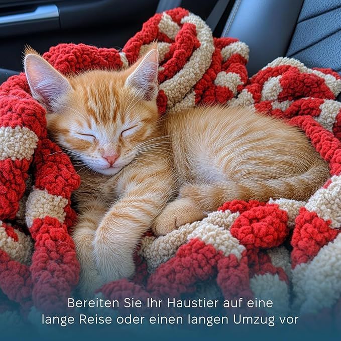 Orangefarbene Katze schläft auf roter und cremefarbener Decke.
