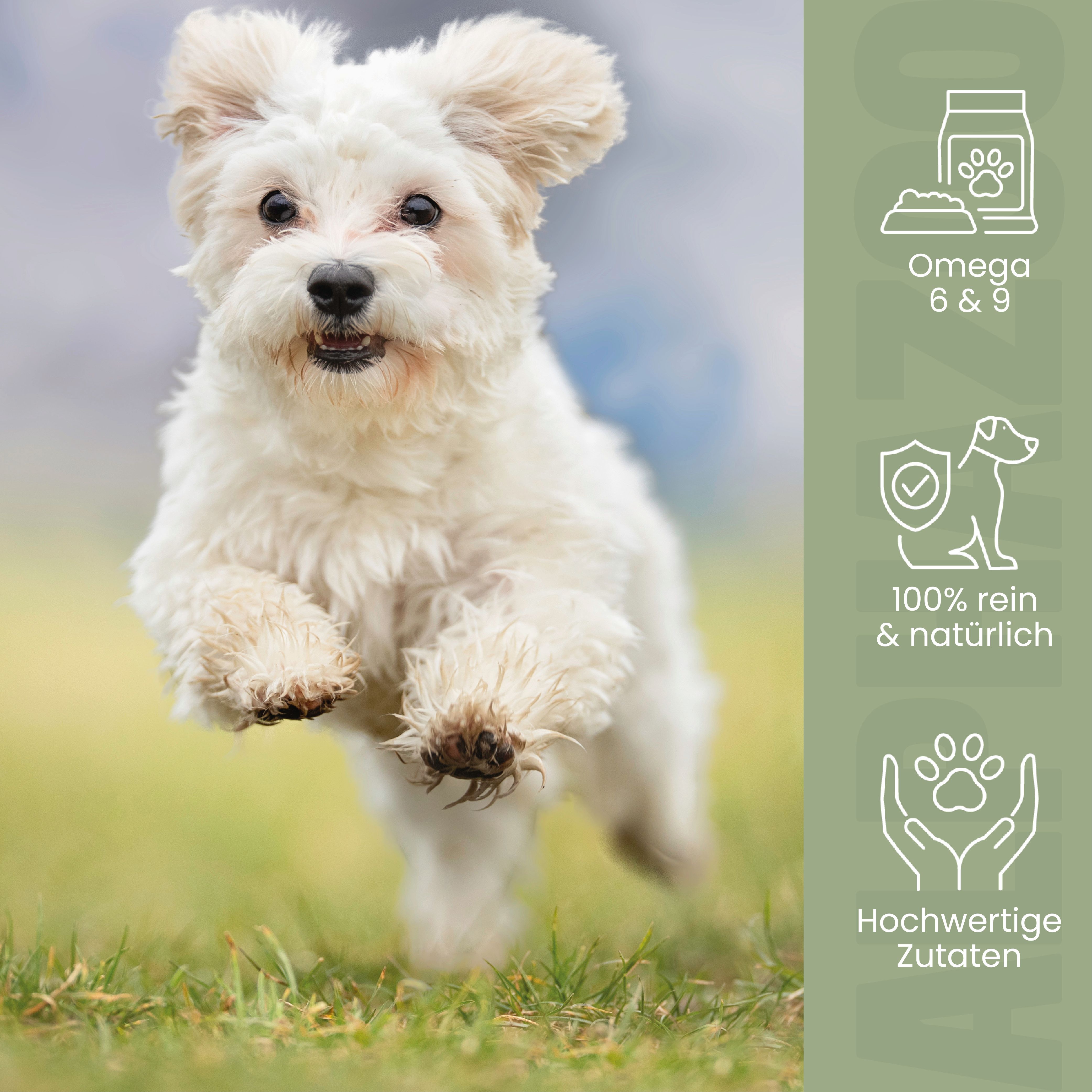 Weißer Hund rennt auf einer Wiese. Icons: Omega 6 & 9, 100% rein & natürlich, hochwertige Zutaten.
