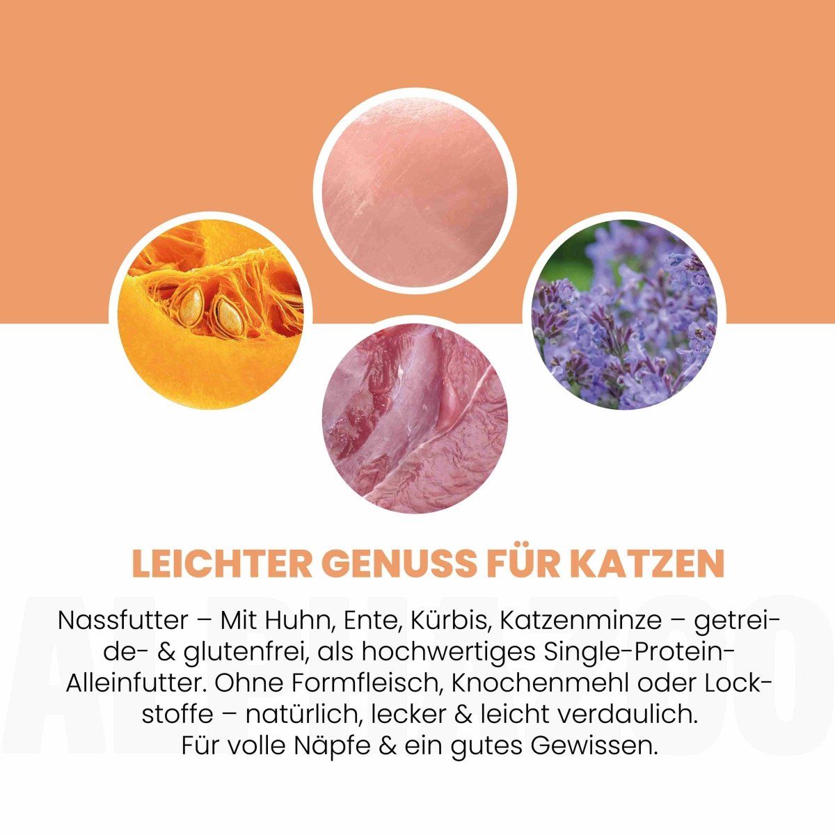 Kreisförmige Darstellung von Kürbis, Haut, Fleisch und Lavendel. Text: Leichter Genuss für Katzen. Getreide- & glutenfrei.
