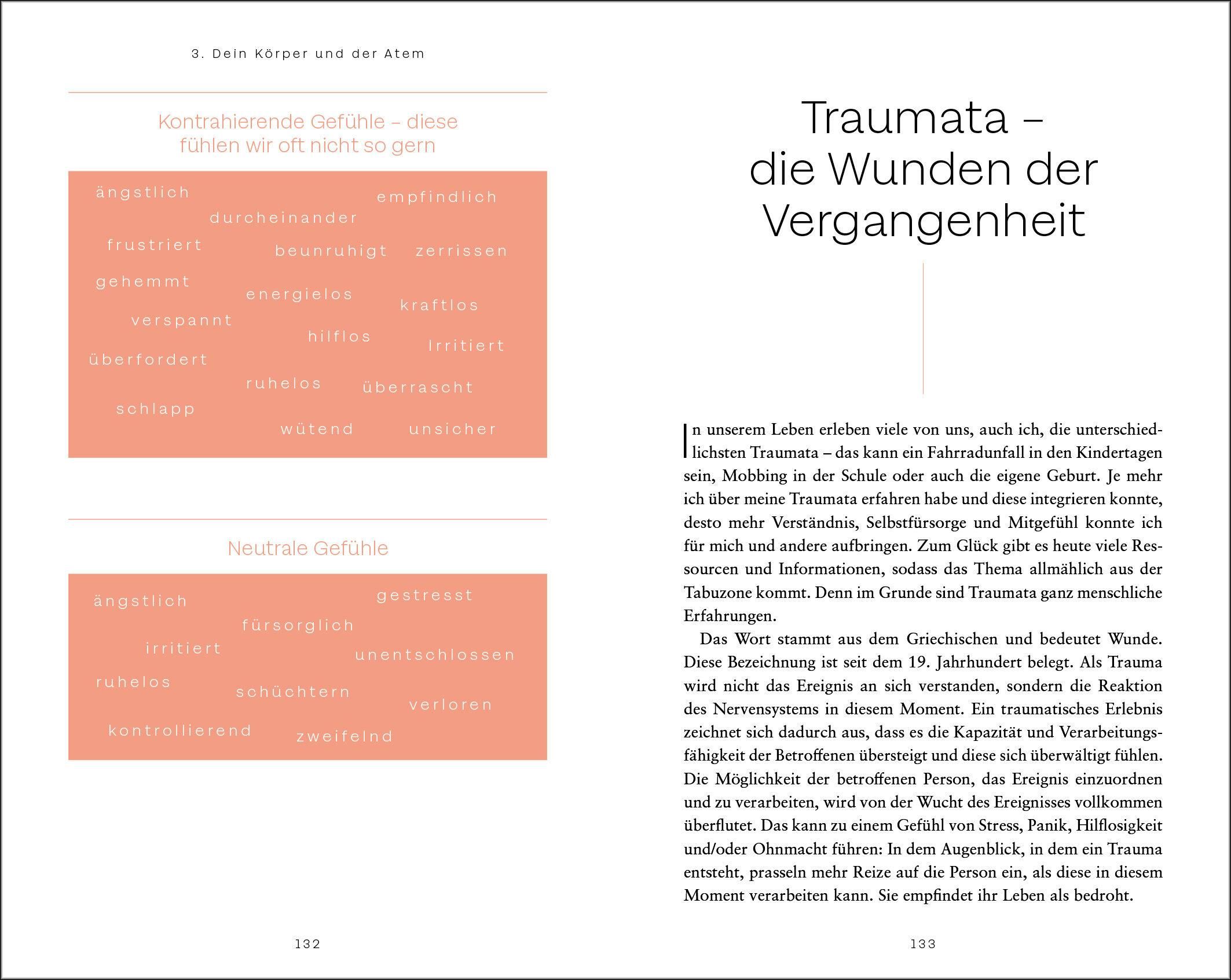 Buchseite: Text über Traumata. Wortwolke mit Gefühlen. Überschrift: Traumata - die Wunden der Vergangenheit.