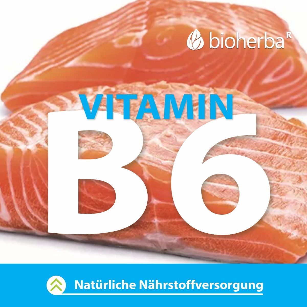 Grafik mit blauem Hintergrund. Text: Vitamin B6. Abbildung von Lachsfilet. Marke: bioherba.