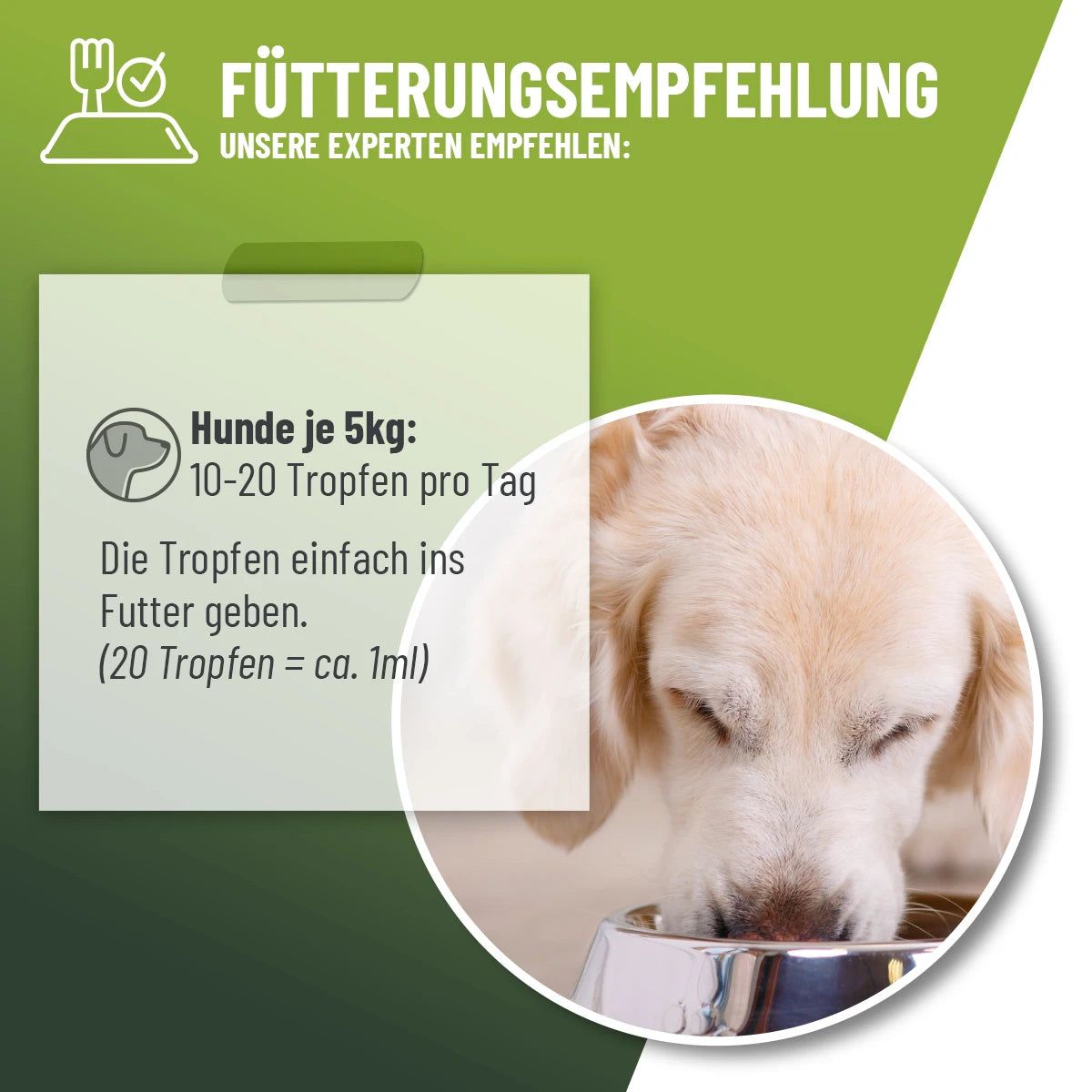 Hund isst aus einer Schüssel. Text: Fütterungsempfehlung. 10-20 Tropfen pro Tag.