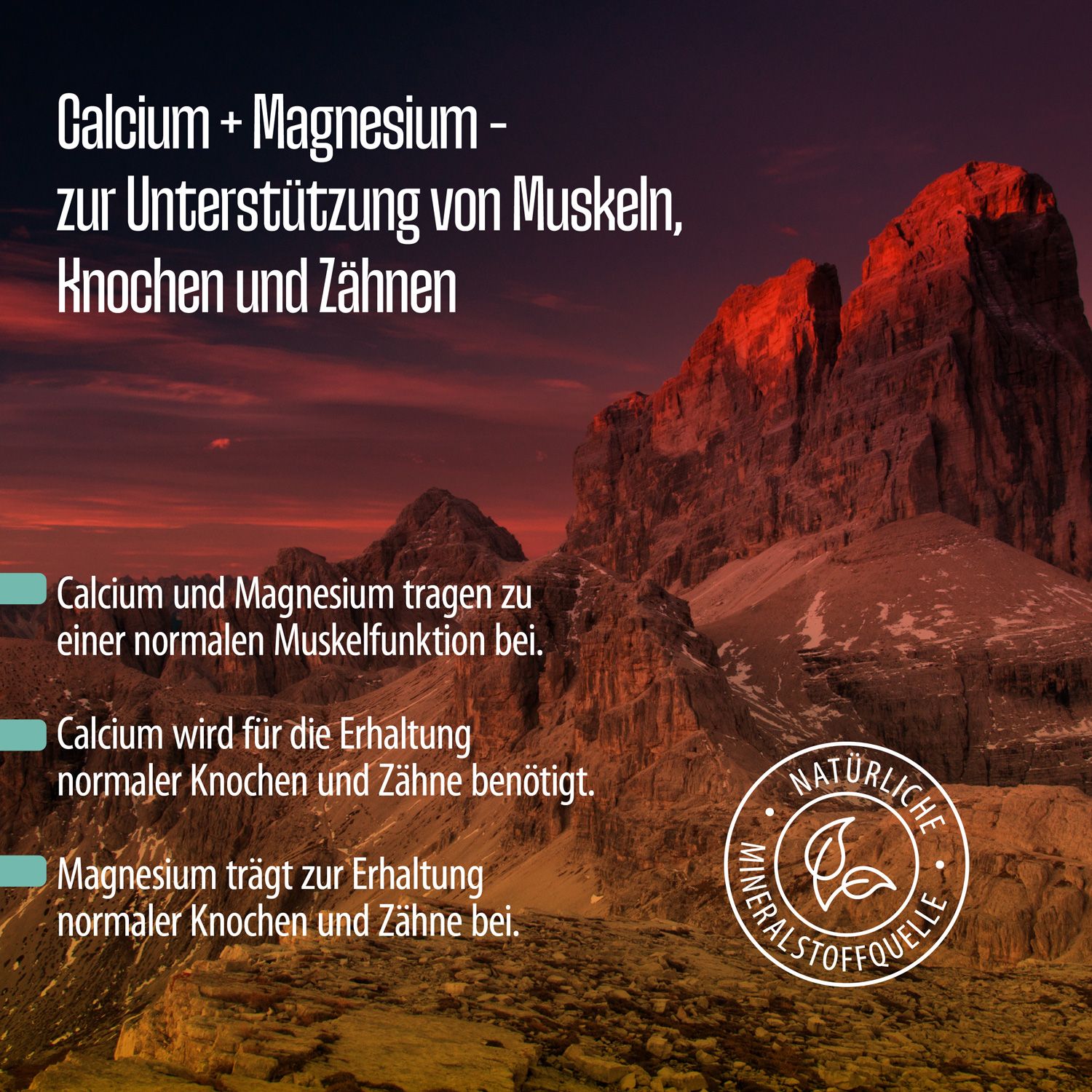 FITNE Calcium + Magnesium Kapseln