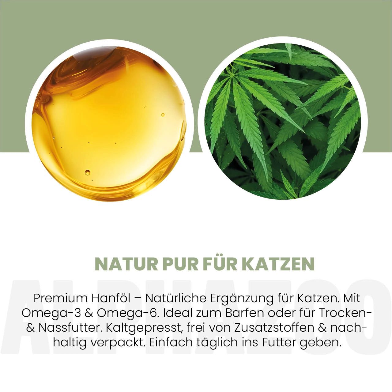 Zwei Kreise: Hanföl und Hanfblatt. Text: Natur pur für Katzen. Premium Hanföl. Kaltgepresst, ohne Zusätze.