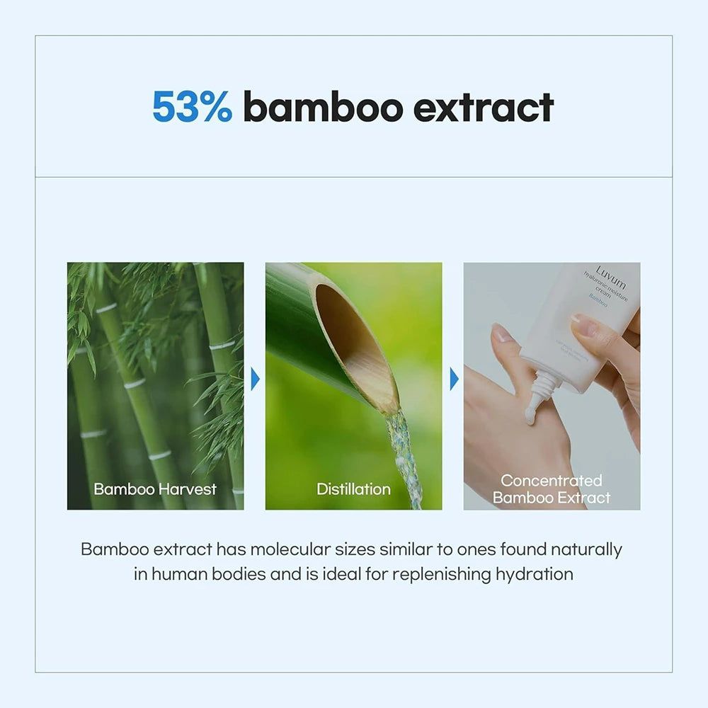 Grafik: 53% Bambusextrakt. Bilder von Bambus, Destillation und Cremeauftrag. Text: Bambusextrakt ideal für Hydratation.