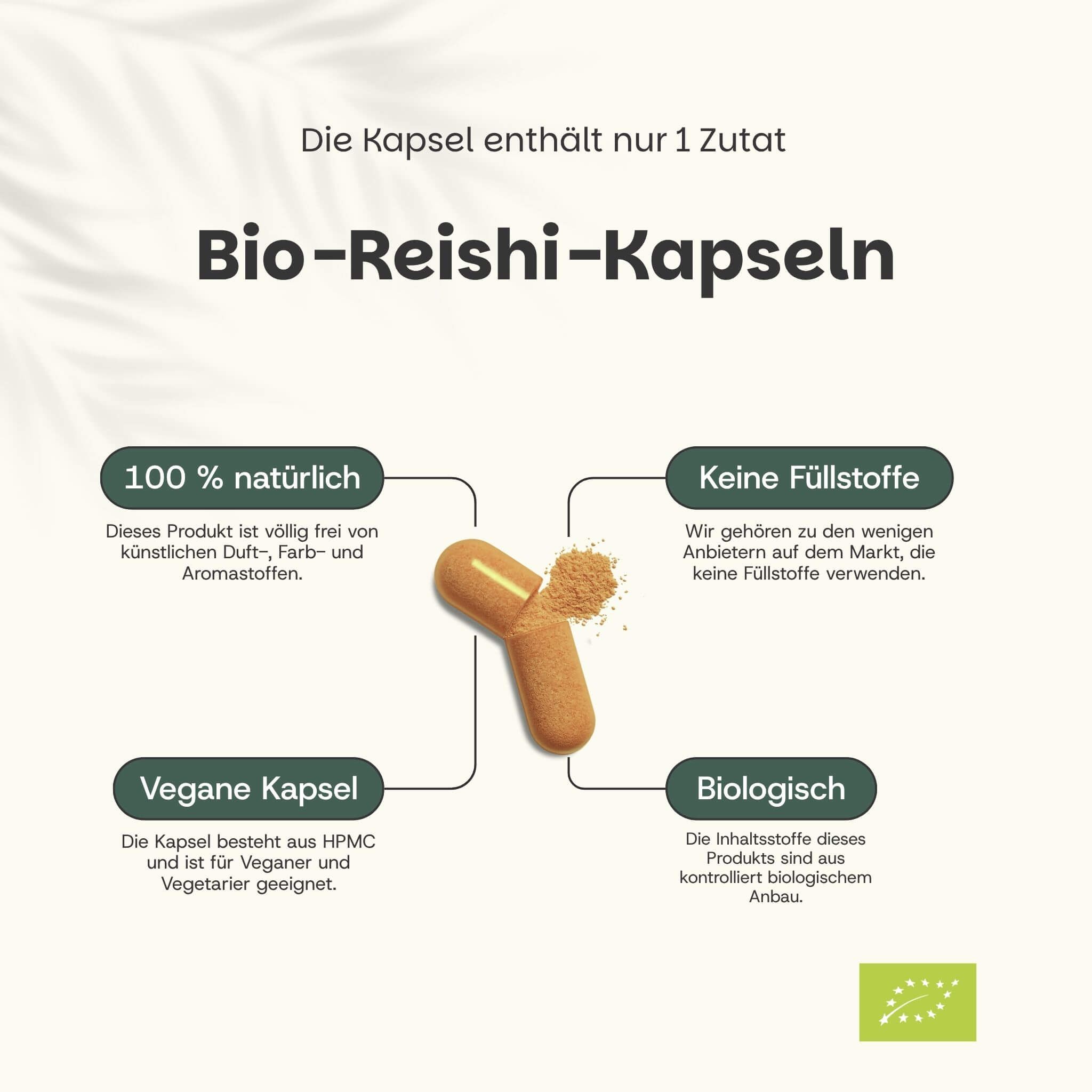 Beutel mit Reishi-Kapseln. Text: Unsere Reishi-Kapseln. Kraftpapierbeutel, vegane Kapseln, in den Niederlanden verpackt.