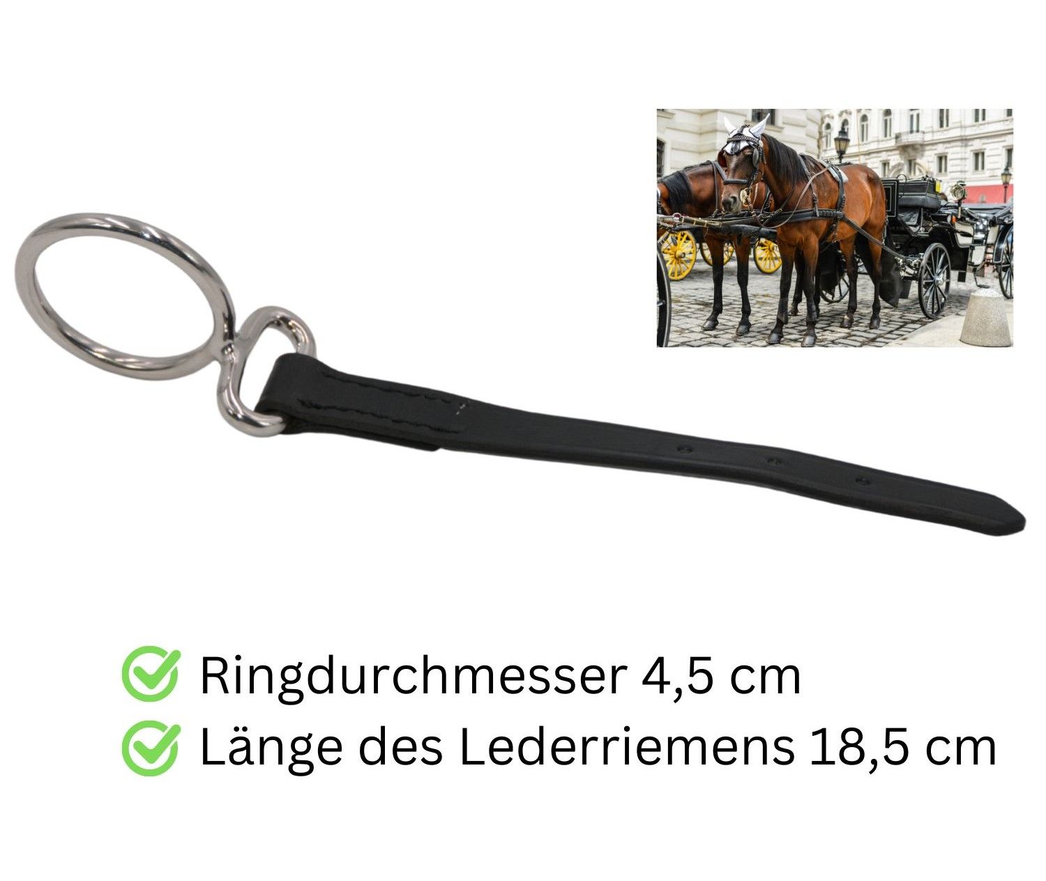 Leinenführungsring mit Lederriemen. Ringdurchmesser 4,5 cm, Lederriemen 18,5 cm. Metallring mit schwarzem Lederriemen.