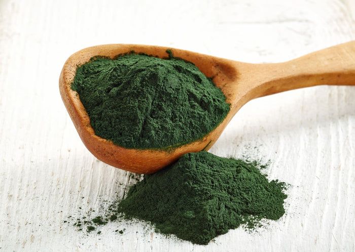 Haufen grünes Chlorella Pulver auf einem Holzlöffel und daneben.