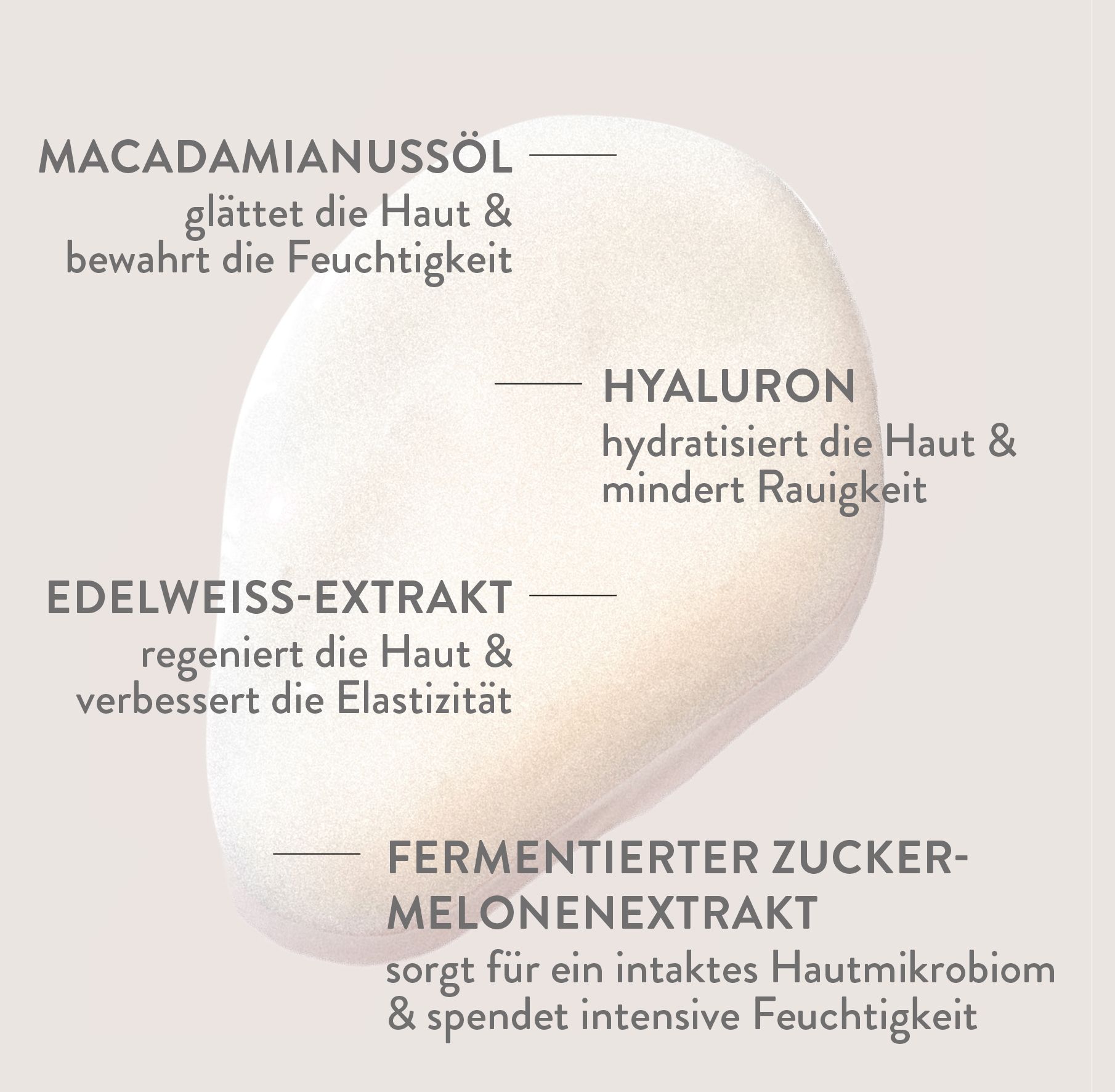 Abbildung eines hellen, unregelmäßig geformten Objekts mit Text. Text: Macadamianussöl, Hyaluron, Edelweiß-Extrakt, fermentierter Zuckermelonenextrakt.