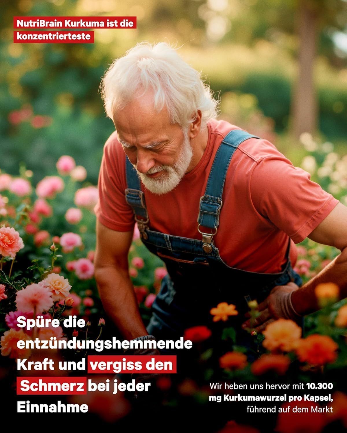 NUTRIBRAIN  Kurkuma Kapsel